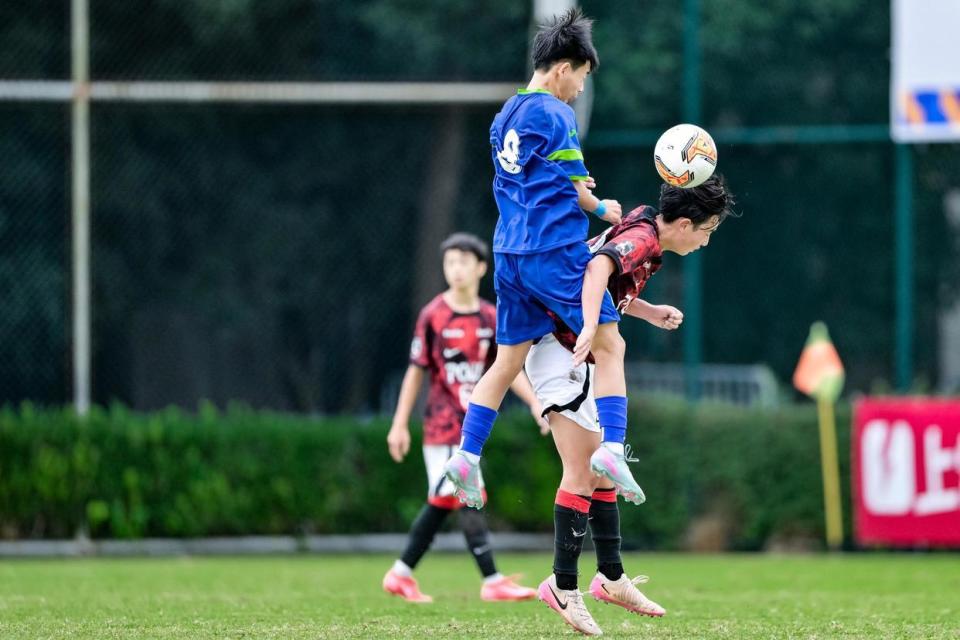 似乎年纪更, mlmiI 似乎年纪更, mlmiI